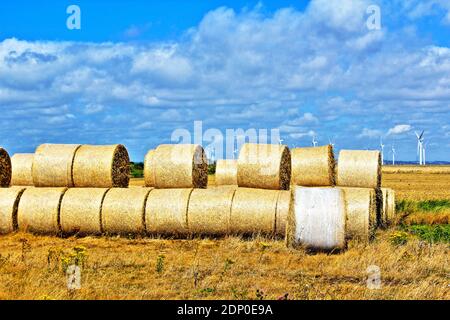 Weizenstrohballen nach der Ernte auf einem Feld in Romney Marsh.Romney Marsh ist ein dünn besiedeltes Feuchtgebiet in der Grafschaften Kent und East Sussex Stockfoto