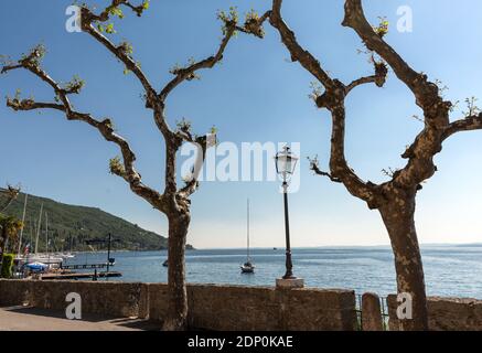 Gardasee mit Promenade in Torri del Benaco, Italien Stockfoto