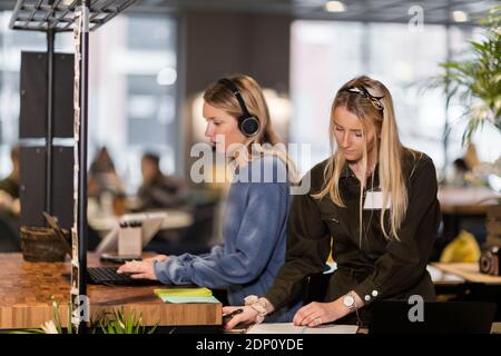 Frauen arbeiten im Büro Stockfoto