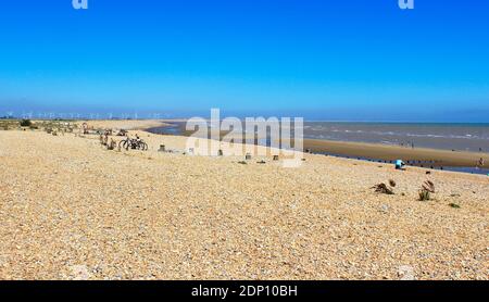 Sommertag am Winchelsea Beach bei Ebbe Blick nach Norden. Der Strand blickt auf Rye Bay, die Mündung des Flusses Rother.East Sussex, England, Großbritannien Stockfoto