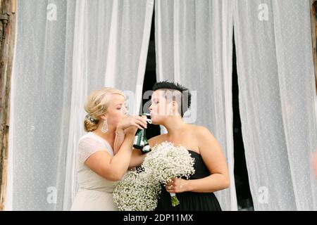 Happy brides at wedding reception Stock Photo