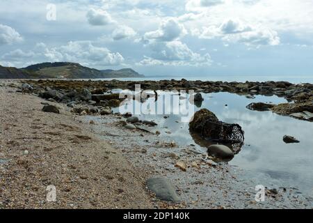 Steiniger Strand, Felsenbecken, Charmouth, Ebbe. Der Hummertopf wurde im Wasserpool entsorgt. Jurassic Coast. Entspannend, ruhig. Sonnenlicht reflektierte Wolken. Stockfoto