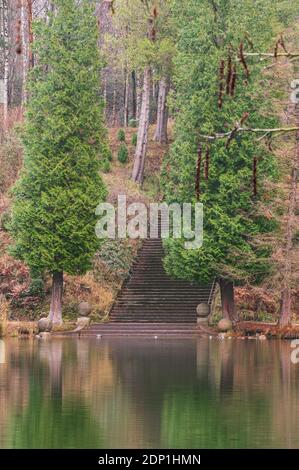 Eine majestätische Steintreppe am Rande eines Sees mit beschaulichen Wasser und umgeben von zwei hohen Kiefern führt hinauf in den Wald. Stockfoto