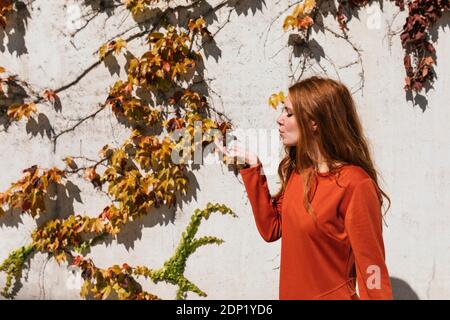 Junge Frau, die Kuss bläst, während sie gegen die Efeu-Wand steht Stockfoto