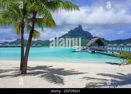 BORA BORA, FRANZÖSISCH-POLYNESIEN -7 DEZ 2018- Blick auf einen Palmenschatten auf dem Sand an der Lagune und Mount Otemanu im Le Meridien Bora Bora Resort in Stockfoto