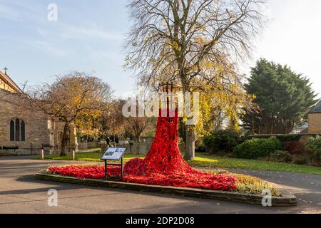 Chatteris war Memorial und die Pfarrkirche St. Peter & St. Paul, mit einer Kaskadierung Mohn Display, alle bereit für den Gedenktag. Stockfoto