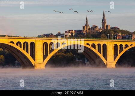 Kanadagänse Fliegen Sie am frühen Morgen über die Key Bridge über den Potomac River und schauen Sie in Richtung Georgetown University, Washington DC, USA. Stockfoto