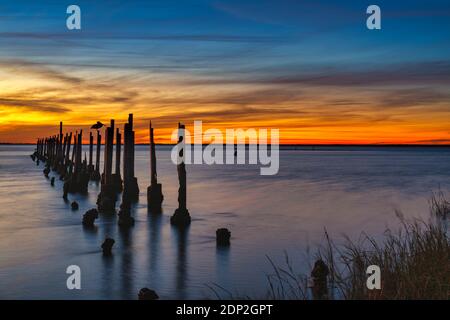 Kurz nach Sonnenuntergang am St. Marks Wildlife Refuge. Forground ist ein brauner Pelikan, der auf einem Pfosten von einem verfallenen Pier steht. Stockfoto