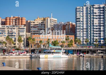 Katamaran für touristische Ausflüge in Port of Malaga, Muelle uno, Andalusien, Costa del sol, Spanien. Stockfoto