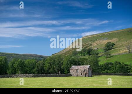 Steinschellen in Muker Wiesen nach Ernte von Heu geerntet wurde. Swaledale im Yorkshire Dales National Park, Großbritannien. Stockfoto