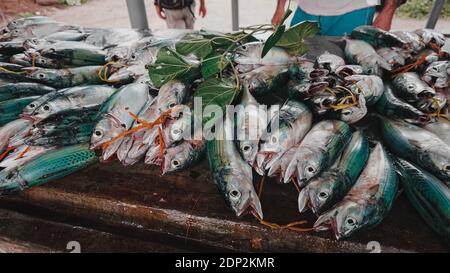 Tropische Fische auf dem Markt mit Blättern auf den Seychellen, Victoria Stockfoto