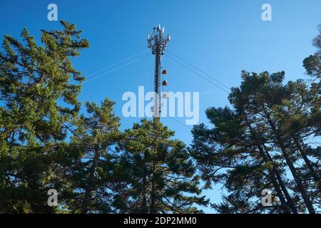 Ein Kommunikationsmobil, Handy Turm zwischen den Bäumen. Auf dem Osgood Trail zum Blue Hill Mountain Summit, Teil des Blue Hill Heritage Trust in M Stockfoto