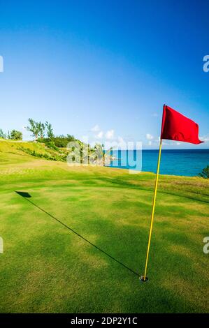 Red flag on putting green; Port Royal Golf Course; Bermuda Stockfoto