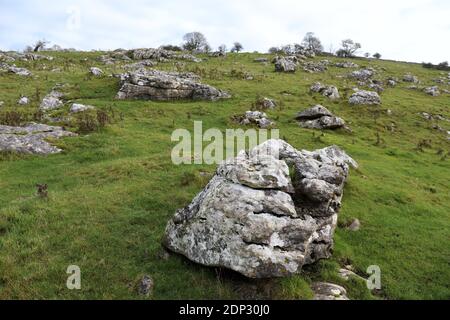 Freiliegender Kalkstein in der Nähe von Hartington im Derbyshire Peak District National Parken Stockfoto