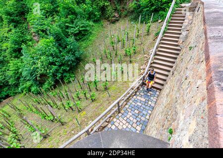 Schloss Kriebstein, Besichtigung der Burg, Wandern entlang der zschopau, sachsen, deutschland Stockfoto