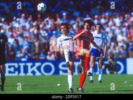 Frankreichs Michel Platini kämpft gegen den belgischen Enzo Scifo während der Gruppe EINE erste Runde des UEFA EURO 1984 Fußballspiels, Frankreich gegen Belgien im Stade de la Beujoire, Nantes, Frankreich am 16. Juni 1984. Frankreich gewann 5:0. Foto von Henri Szwarc/ABACAPRESS.COM Stockfoto