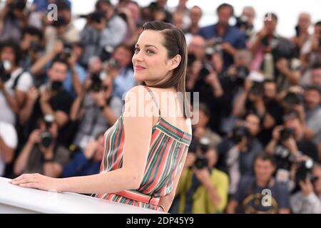 Marion Cotillard nimmt an der Fotokalle "Macbeth" beim 68. Filmfestival von Cannes am 23. Mai 2015 in Cannes Teil. Foto von Lionel Hahn/ABACAPRESS.COM Stockfoto