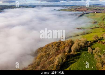 Luftaufnahme mit Blick auf landwirtschaftliches Ackerland und ein Tal Gefüllt mit einer Nebeldecke (Wales, UK) Stockfoto