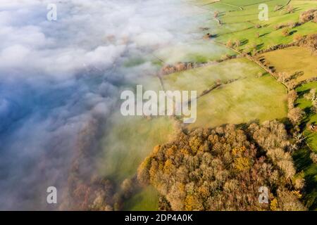 Luftaufnahme mit Blick auf Bäume in einem wunderschönen, ländlichen Nebeltal (Powys, Mid Wales) Stockfoto