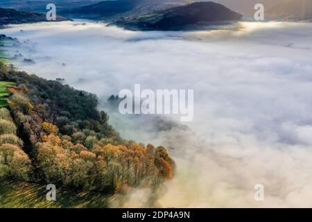 Luftaufnahme mit Blick auf Bäume in einem wunderschönen, ländlichen Nebeltal (Powys, Mid Wales) Stockfoto