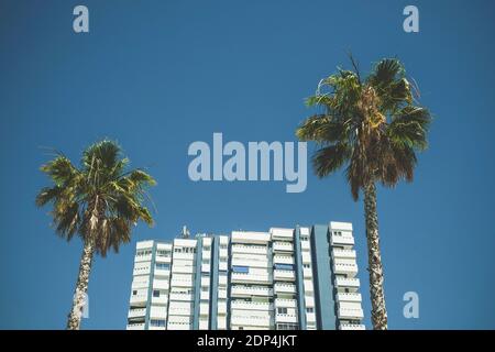 Apartmentgebäude und zwei Palmen gegen Blue Sky Stockfoto