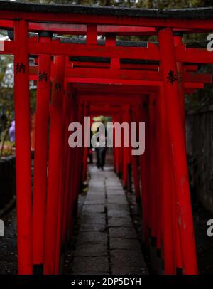 Gehweg am buddhistischen Tempel in Tokio, Japan Stockfoto