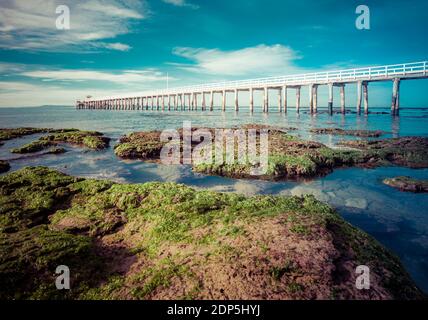 Der felsige Strand am Point Lonsdale Pier, am Eingang zur Port Philip Bay, Victoria, Australien Stockfoto