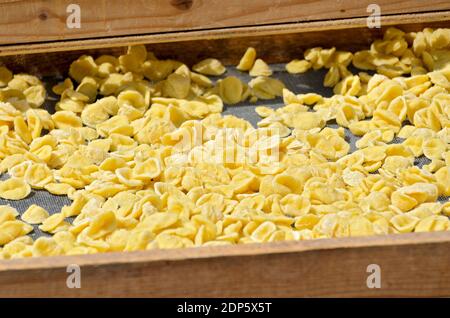 Handgemachte traditionelle italienische Pasta genannt Orecchiette Trocknung in der Sonne in Bari, Italien Stockfoto