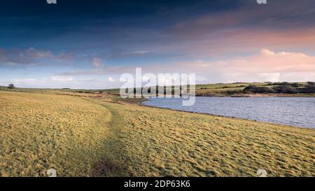 Ein Panoramablick auf einen rauen Wanderweg über Felder am Colliford Lake am Bodmin Moor in Cornwall. Stockfoto