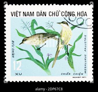 MOSKAU, RUSSLAND - 26. SEPTEMBER 2018: Eine in Vietnam gedruckte Briefmarke zeigt Striegel (Megulurus palustris), Vögel nützlich für die Landwirtschaft, circ Stockfoto