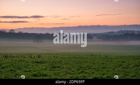 Nebel bildet sich um blattlose Bäume in Ackerland Felder bei Sonnenuntergang an einem ruhigen Wintertag. Aufgenommen in Cheshire, England, Großbritannien. Stockfoto