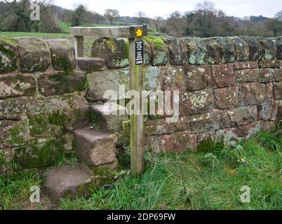 Ein alter Steinschritt, der den Weg über eine Sandsteinfeldmauer auf dem Eddisbury Way in Cheshire, England, Großbritannien, bietet. Stockfoto