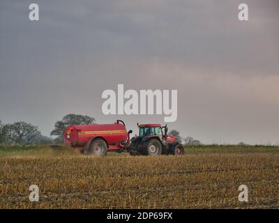 Ein Traktor zieht einen roten Tankwagen, der Gülle (Flüssigdünger) über ein geschnittenes Feld von Stoppeln sprüht. Aufgenommen in Cheshire, Großbritannien am Ende eines nebligen Tages Stockfoto