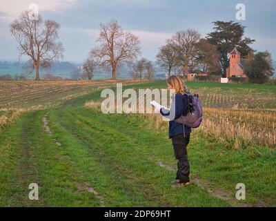 Eine alleinstehende Frau, die in Gehausrüstung auf einer Route durch ein geschnittenes Feld von Crop-Stoppeln läuft, überprüft ihre Route mit einer Karte. Aufgenommen in Cheshire, Großbritannien. Stockfoto