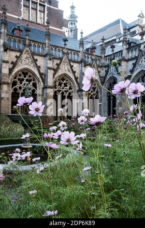 Garden de Kloostertuin oder Pandhof in der Nähe der Domkirche in Utrecht Stockfoto