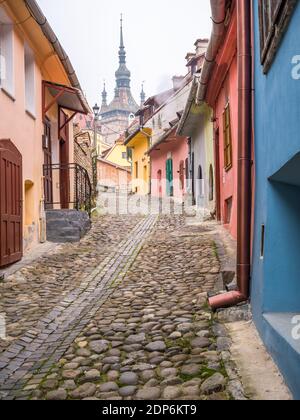 Sighisoara Rumänien - 11.26.2020: Der ikonische Uhrturm (Turnul Cu ceas) im 14. Jahrhundert gebaut. Historisches Wahrzeichen in der mittelalterlichen Stadt Sighis Stockfoto