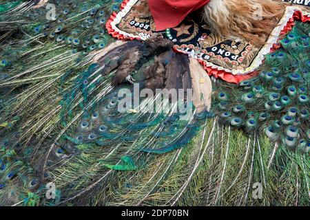 Reog ist eine typische Kultur von Ponorogo, Ost-Java. Stockfoto