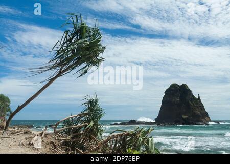 Der Strand von Papuma ist eines der Reiseziele für Meerestourismus im Bezirk Jember. Der perfekte Ort, um Sonnenaufgänge und Sonnenuntergänge zu genießen. Stockfoto