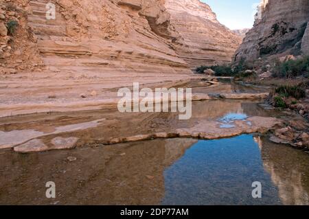 Ein Avdat Canyon - Reflexion, Negev, Israel Stockfoto