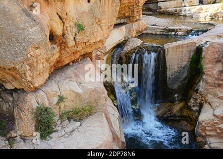 Wasserfall in ein Prat - Wadi Kelt, Judäische Wüste, Israel Stockfoto