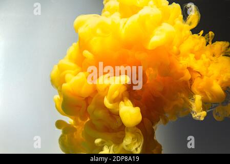 Farbtropfen im Wasser.Gelber Tintentropfen wirbelt auf dem Hintergrund. Wolke von Acrylfarbe. Stockfoto