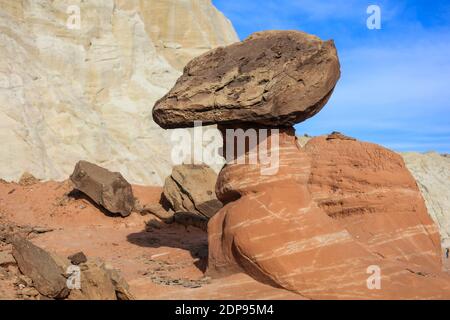 Der Toadstools Trail auf dem Paria Rimrocks im Süden Utahs. Stockfoto