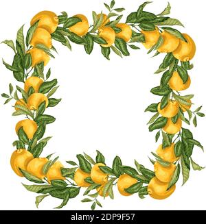 Vektor-Illustration Vorlage quadratischen Rahmen Kranz mit Zitrusfrucht Baum Zweig mit Früchten und Blättern in hellen Farben Stock Vektor
