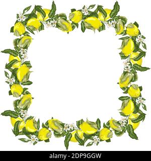 Vektor-Illustration Vorlage quadratischen Rahmen Kranz mit Zitrusfrucht-Baum Zweig mit Zitronenfrüchten, Blumen und Blättern in hellen Farben Stock Vektor