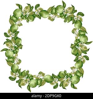 Vektor-Illustration Vorlage quadratischen Rahmen Kranz mit Zitrusfrucht Baum Zweig mit Limettenfrüchten, Blumen und Blättern in hellen Farben Stock Vektor