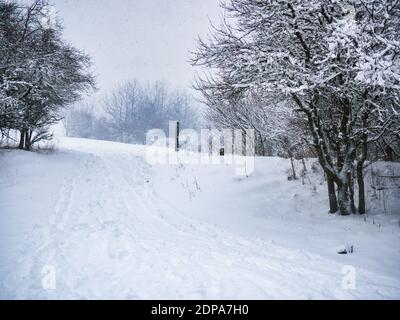 Schneebedeckter Fußweg unter einem Hügel unter Bäumen - starker Schneefall eingefangen In Bewegung Stockfoto
