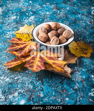 Walnüsse in einer Emaille-Schale, gefallene gelbe Blätter auf blauem Betongrund. Herbsternte. Stockfoto