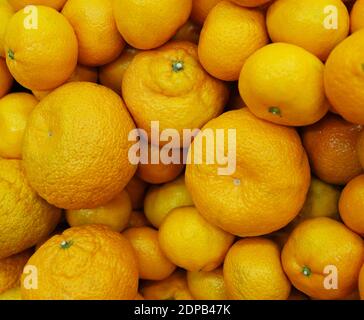 Handvoll frische Mandarinen auf Markt Stockfoto