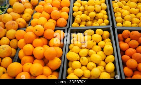 Verschiedene Vielfalt von Zitrusfrüchten zum Verkauf im Supermarkt Stockfoto