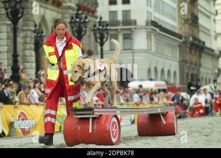 Wien, Österreich. Juni 16, 2007. Tierschutztage in Wien am Rathausplatz. Rettungshund der Samariter-Vereinigung. Stockfoto